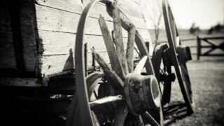 Dockerの仕組みと使い方入門｜仮想マシンとの違いからコンテナ実践まで