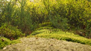 LinuxのCronで自動化入門｜定期バックアップ・ログ削除をスケジュール実行