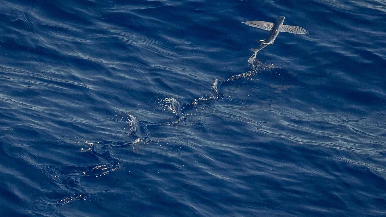 転職で年収交渉する方法｜ITエンジニア向け実践ガイド