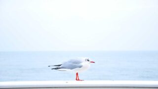 SSHの安全な設定方法｜鍵認証・セキュリティ強化の実践ガイド