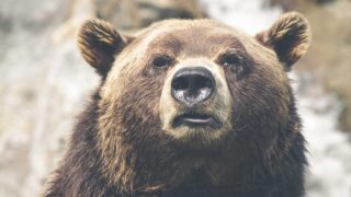 成長マインドセットとは何か｜ITエンジニアが持つべき思考の土台と日常での実践方法