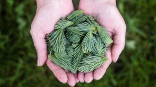 IT業界の将来性と2030年の展望｜AI・クラウド時代でもインフラエンジニアは必要か