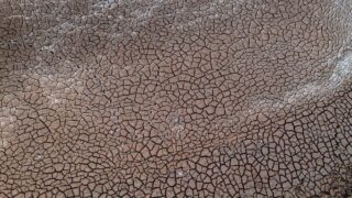 Terraform