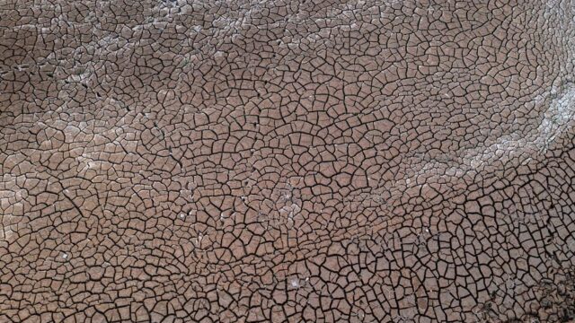 Terraform