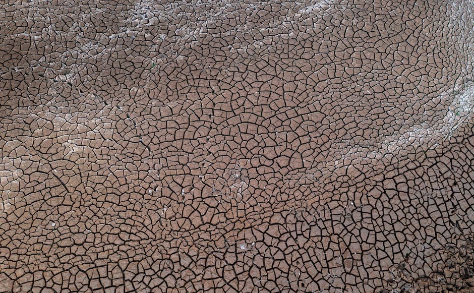 Terraform
