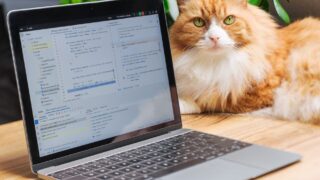 GitHub