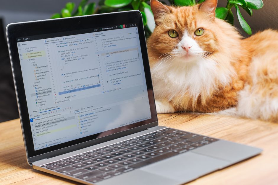 GitHub